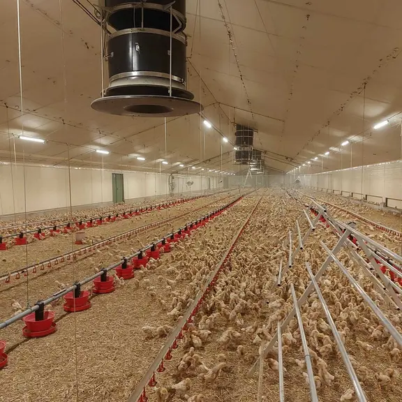Dans un bâtiment en ventilation dynamique, des cheminées d’entrée d’air travaillant en pression neutre ou en surpression limitent les courants d’air circulant au ...