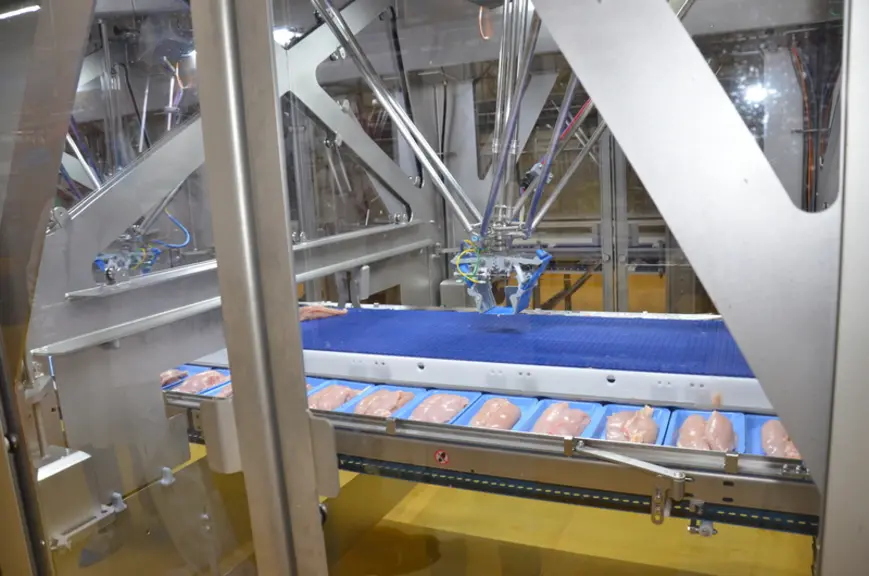 Mise en barquette des filets robotisée, en poids fixe ou nombre de pièces selon la demande.