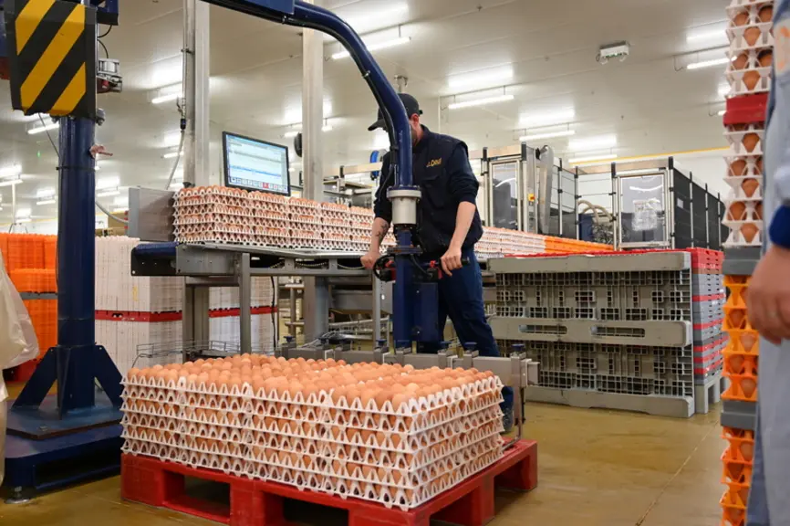Lœuf augmente fortement ses volumes en œuf coquille et met un pied dans la valorisation à travers l'élaboration.