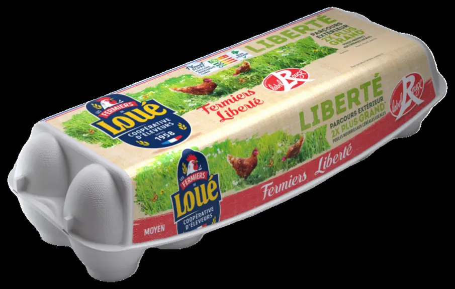 Groupe LDC : Éclosion du pôle œuf