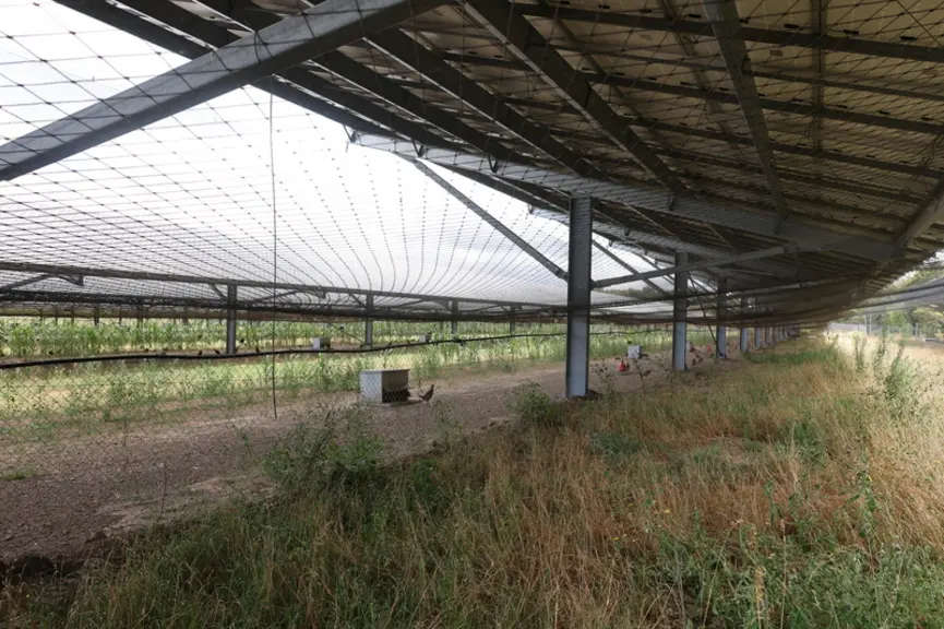 « Je me suis installé avec une volière photovoltaïque »