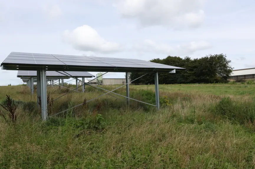 L’espace laissé nu entre poulailler et abris photovoltaïques sera planté de façon à permettre aux poules de circuler facilement de l’un aux autres.