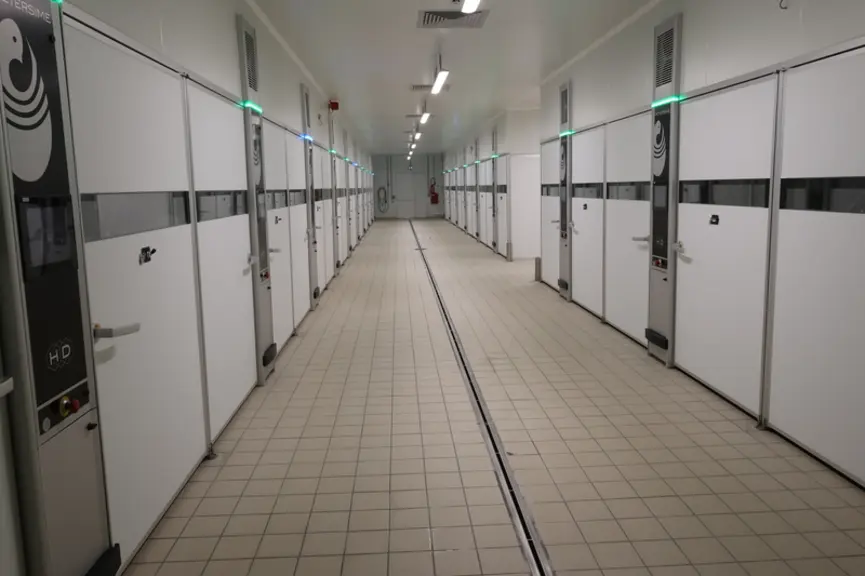 Centre névralgique de BD France, le site de Plabennec vient de finaliser la refonte totale de son outil de production de 1,2 million de poussins par semaine, principalement ...