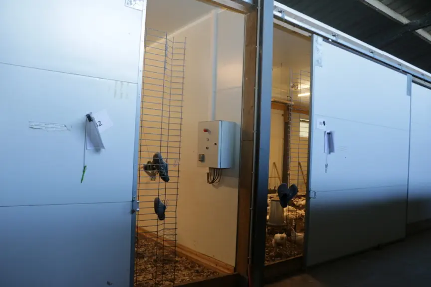 Un portail coulissant à l’arrière des salles d'élevage facilite le curage du fumier à l’aide d’une minipelle.