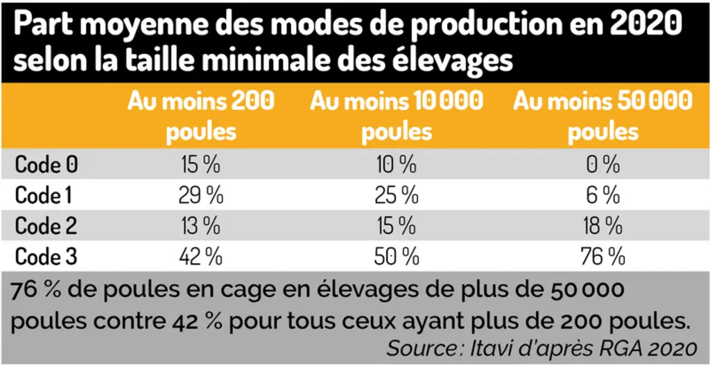 Dans les élevages d'au moins 50 000 poules, les trois quarts détiennent des poules en cage (code 3), contre seulement 6 % en plein air (code 1). 
