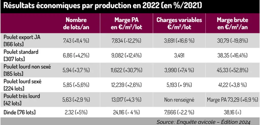 Enquête avicole : Les marges des volailles de chair ont grimpé en 2022