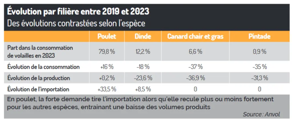 Volailles de chair : L’interprofession Anvol défend la souveraineté française