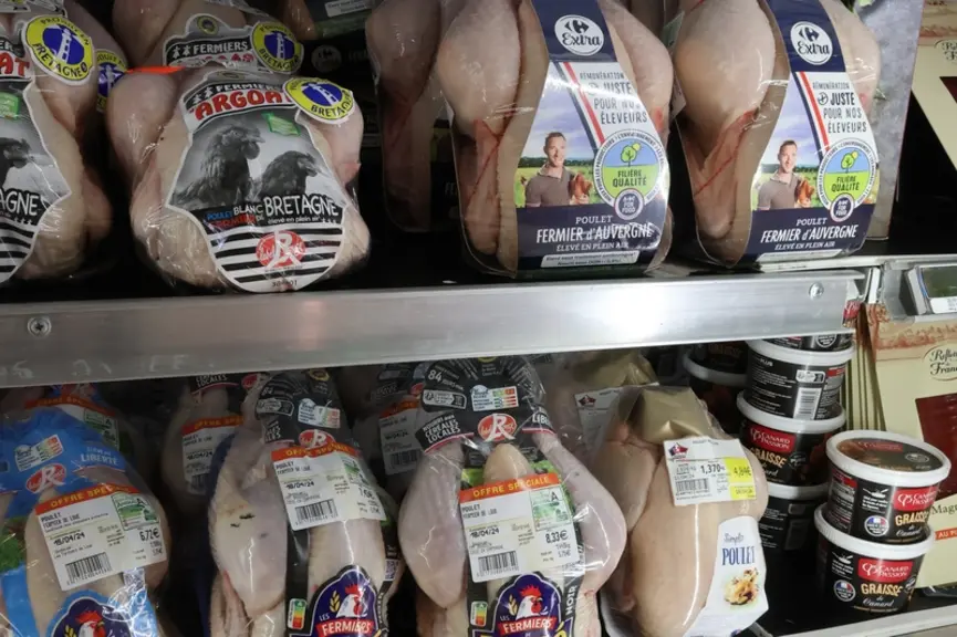 Dans la vitrine d’un hypermarché Carrefour mi-avril, se côtoyaient du poulet label rouge à marque nationale (Loué), régionale (Argoat-Bretagne), distr