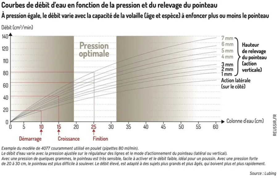 Graphique : À pression égale, le débit varie avec la capacité de la volaille à enfoncer plus ou moins le pointeauCourbes de débit d’eau en fonction de la pression et ...