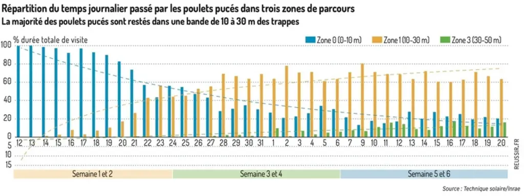 Répartition du temps journalier passé par les poulets pucés dans trois zones de parcoursLa majorité des poulets pucés sont restés dans une bande de 10 à 30 m des ...