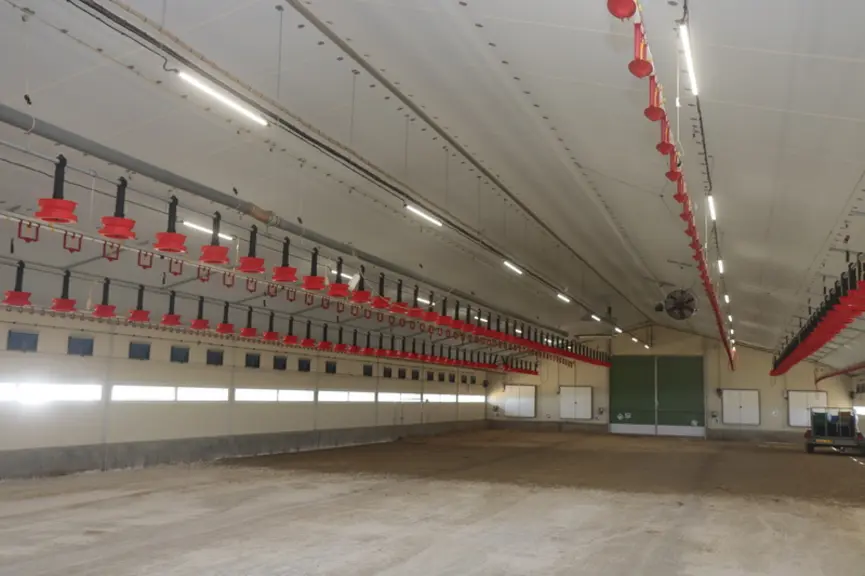 Un équipement intérieur tout à fait habituel afin d’être en capacité de produire du poulet rentable pour l’éleveur et conforme aux attendus de l’abattoir.