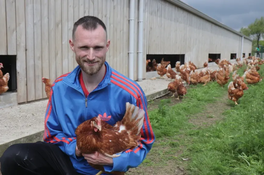 <em class="placeholder">Des poules Novo Farm jugées très résilientes par Vivien Rio.</em>