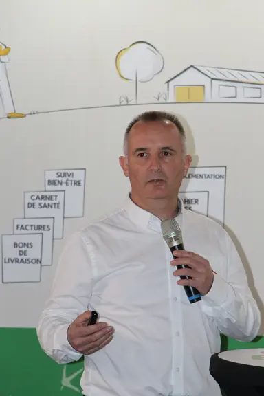 Sébastien Niort, Bellavol