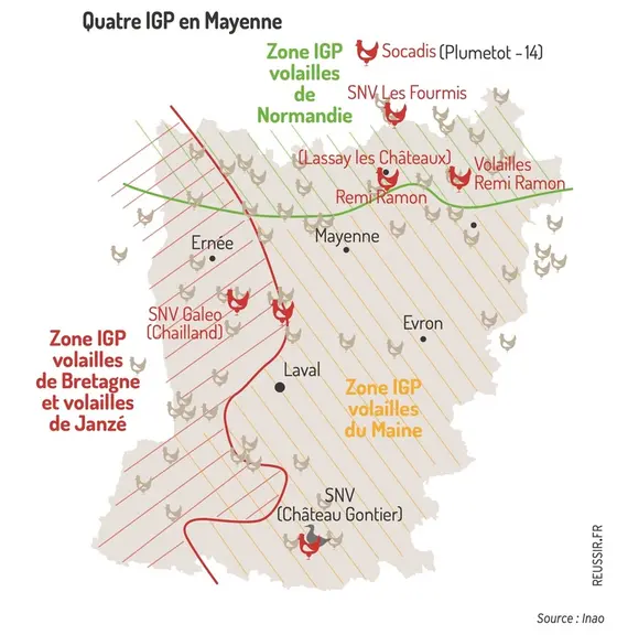<em class="placeholder">Graphique = Quatre IGP en Mayenne</em>