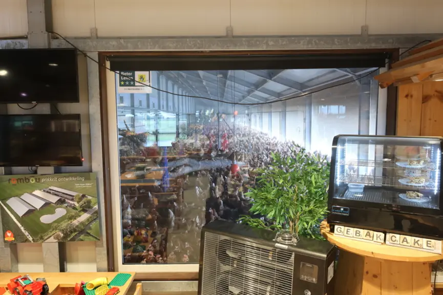 Deux baies vitrées du magasin permettent au visiteur de voir les poules s’ébattre (à gauche la photo du site) .