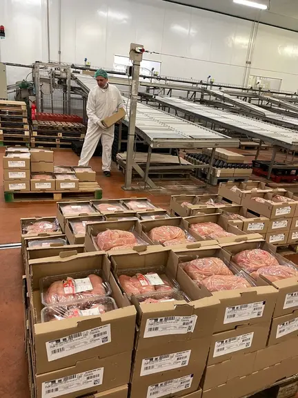 6. Les produits sont conditionnés en grande barquette en frais sous vide, sous atmosphère contrôlée ou en vrac pour la PAI (fr