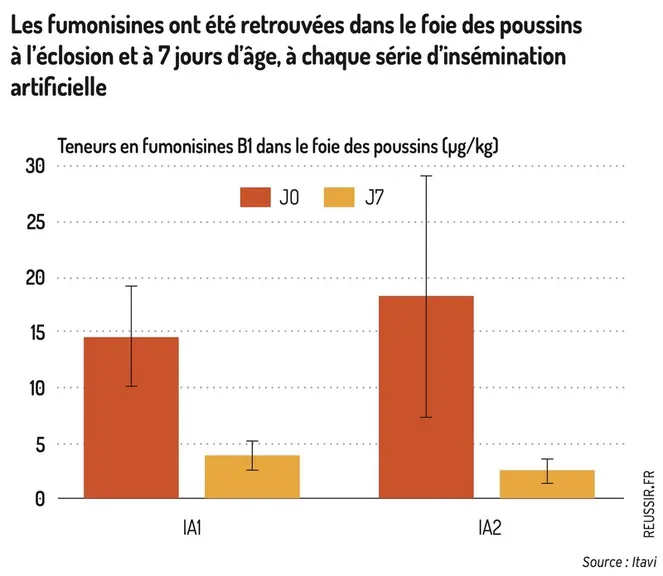 Graphique = Les fumonisines ont été retrouvées dans le foie des poussinsà l’éclosion et à 7 jours d’âge, à chaque série d’insé