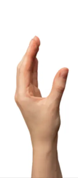 <em class="placeholder">Pince en U</em>