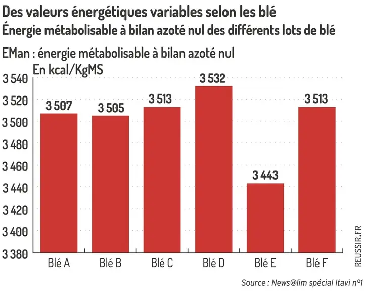 <em class="placeholder">Graphique = Des valeurs énergétiques variables selon les bléÉnergie métabolisable à bilan azoté nul des différents lots de blé</em>