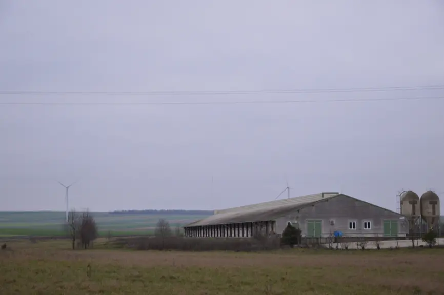 <em class="placeholder">Dans la plaine champenoise, plus connue pour ses productions végétales, le poulailler détonne.</em>