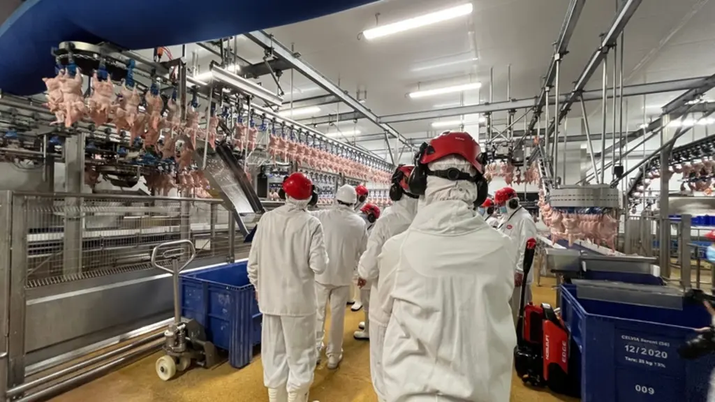 SBV a engagé un programme d’investissement de 60 millions d’euros pour augmenter de 100 000 poulets par semaine sa capacité he