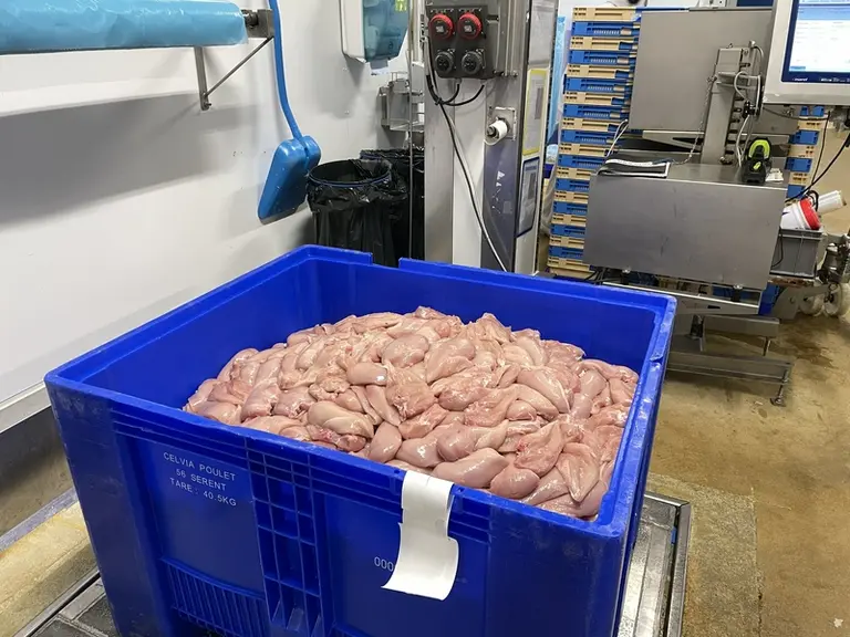 Conditionnement de filets de poulets en Pall-Box