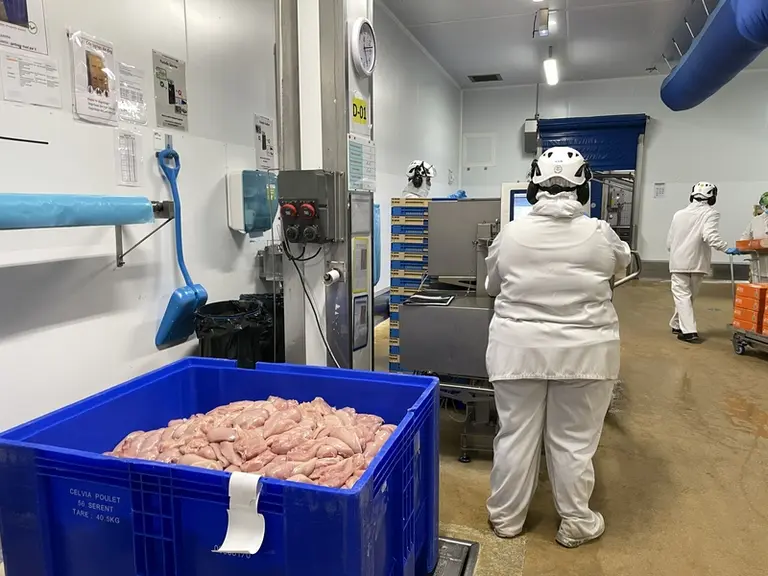 Conditionnement de filets de poulets en Pall-Box