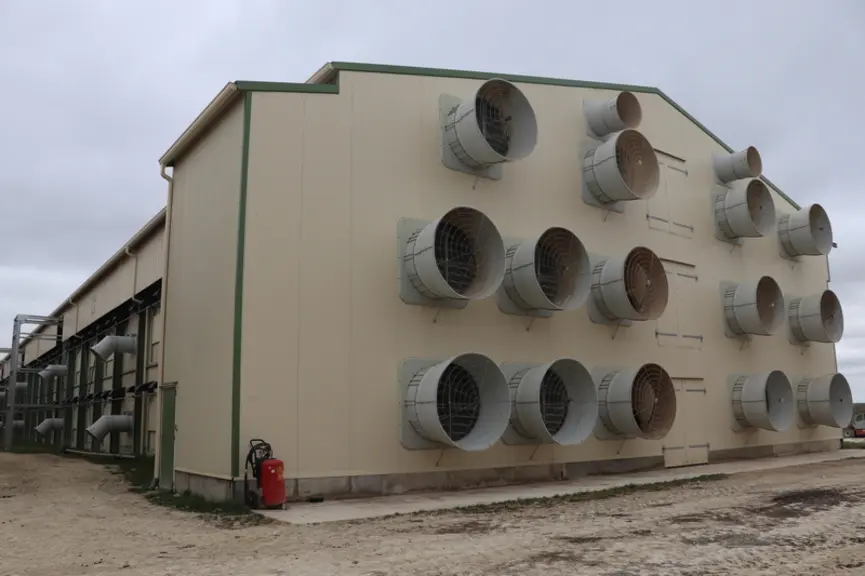 <em class="placeholder">En ventilation longitudinale, l’air entrant à travers le matelas de refroidissement doit traverser les volières du bâtiment long de 100 m sur 21 m de large. D’où la ...</em>