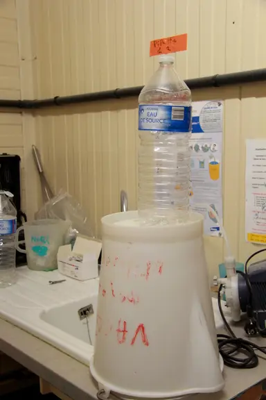 4. Les flacons de vaccins sont ouverts par l’éleveur dans un seau rempli d’eau de source. Cette solution sera vidée ensuite da