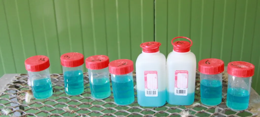 7. Les échantillons sont transmis au laboratoire pour le dénombrement des deux souches vaccinales.