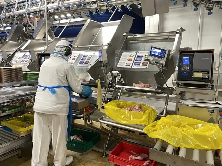 Avec son projet Niagara, LDC veut développer ses capacités industrielles dédiées au poulet du quotidien et aux produits élabor