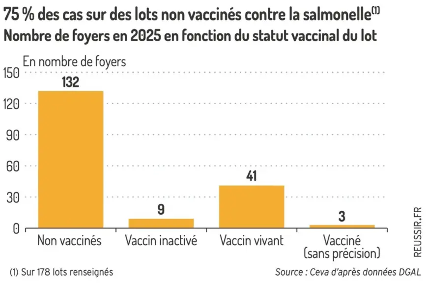<em class="placeholder">Graphique = 75 % des cas sur des lots non vaccinés contre la salmonelleNombre de foyers en 2025 en fonction du statut vaccinal du lot</em>