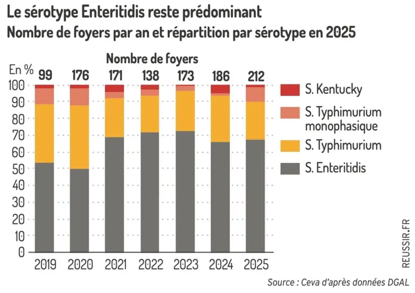 <em class="placeholder">Graphique = Le sérotype Enteritidis reste prédominantNombre de foyers par an et répartition par sérotype en 2025</em>