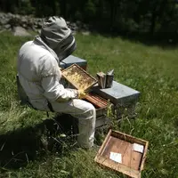 Un tabouret permettant de travailler à hauteur, tout en étant pratique puisque ses sangles le maintiennent accroché à la taille.