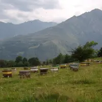 Avec le nouveau règlement européen sur l'AB, la dérogation pollinisation est supprimée et la cire d'abeille est un produit certifiable AB.
