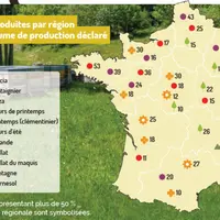 Principales miellées produites par région en pourcentage de volume de production déclaré. Les 2 à 4 miellées représentant plus de 50% des données de l