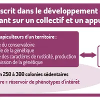 Un conservatoire reposant sur un collectif et un appui technique