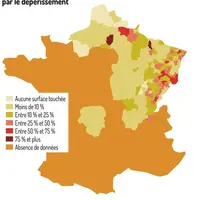 Les secrets de la miellée de sapin