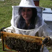 Flore Chotard, apicultrice professionnelle en Occitanie.