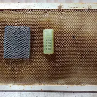 Cage grillagée d’introduction sur couvain naissant (à gauche) et cagette d’expédition en plastique (à droite).