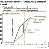 Sublimer oui, mais ruches fermées