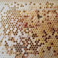 Une construction désordonnée des alvéoles peut être un indicateur de présence de concentrations de pesticides ou d'agents de coupage dans la cire.