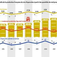La filière apicole française n’est  pas autosuffisante en cire
Estimation annuelle de la production de cire d’opercules à partir des quantités de miel
