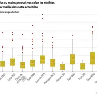 Rendements par miellée dans noter échantillon.
Des ruches plus ou moins productives selon les miellées