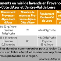 Les zones de production de la lavande évoluent
