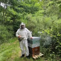 Ludovic Delacour, apiculteur professionnel en Mayenne, constate une pression accrue significative dès 2022 sur les ruchers de taille moyenne.