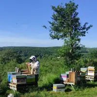 Un suivi rigoureux permet de prendre les bonnes décisions au bon moment.