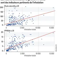 Les mesures de chutes sur lange et de VP/100ab sont des indicateurs pertinents de l’infestation.