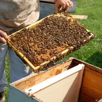 Les visites de printemps pour bien débuter sa saison