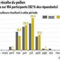 Période de récolte du pollen